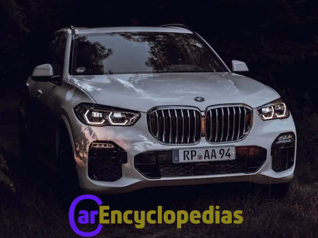 Image of the 2023 BMW X5 