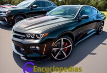 new chevelle ss release date3